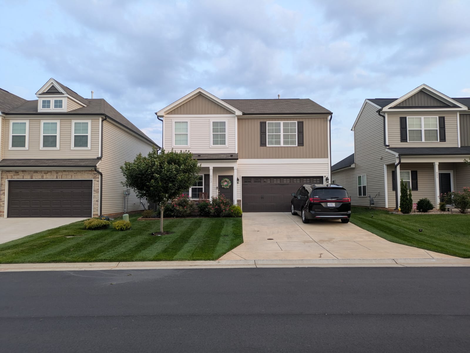 lawn 01